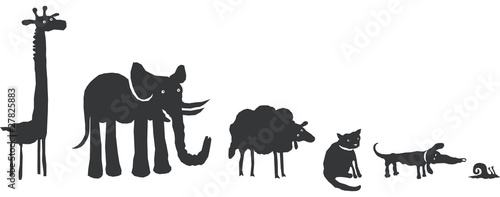 Animaux