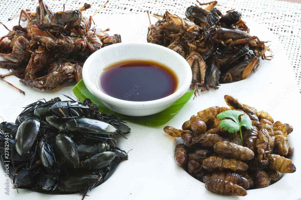 Insect assortment