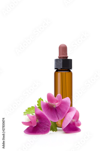Bachblüten