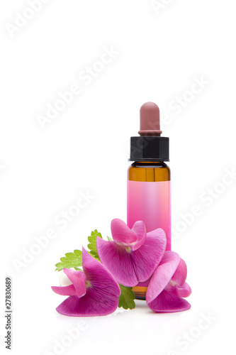 Bachblüten