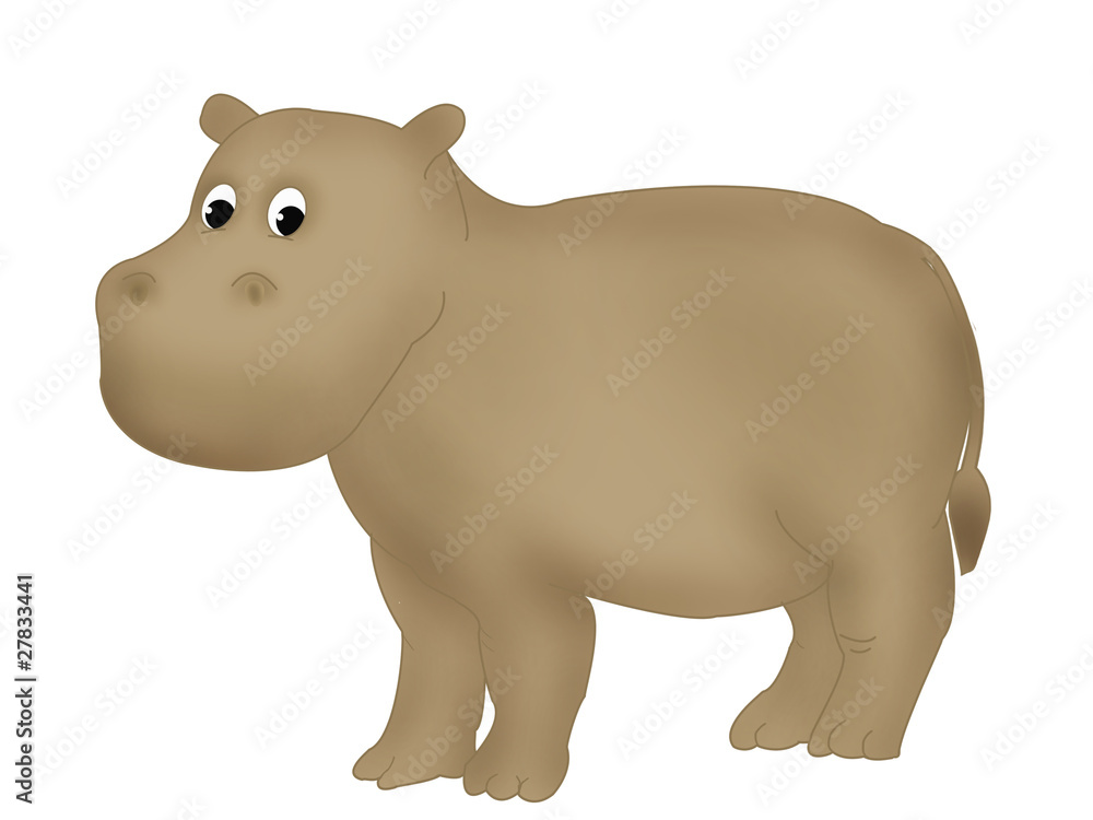 Hippo Hippo