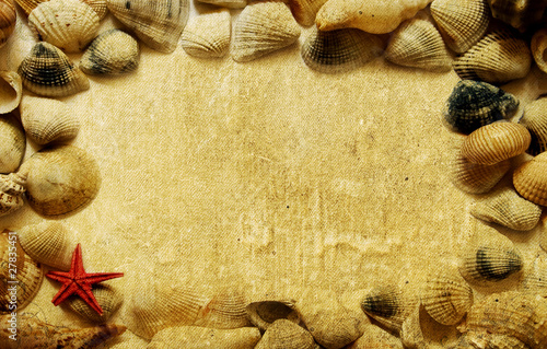 Vintage paper background with seashells