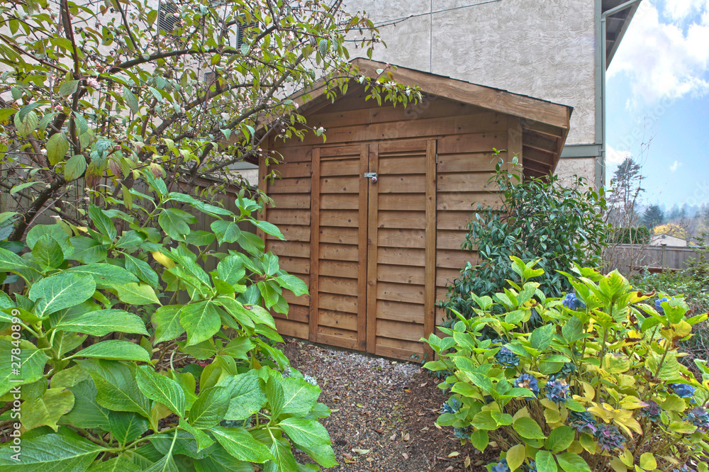 Shed in the garden