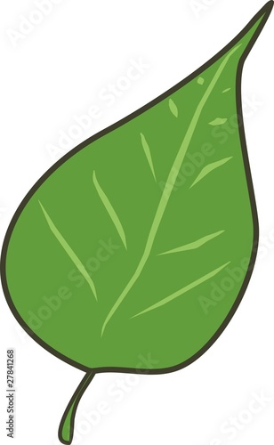Green leave