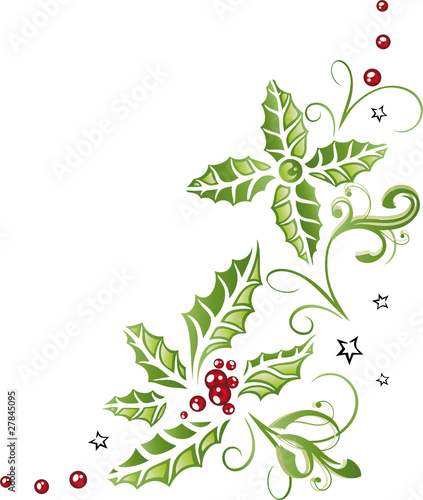 Weihnachten, Advent, Stechpalme, Ranke, Ilix