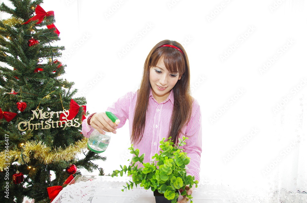 観葉植物に水をかける女性＋クリスマスツリー
