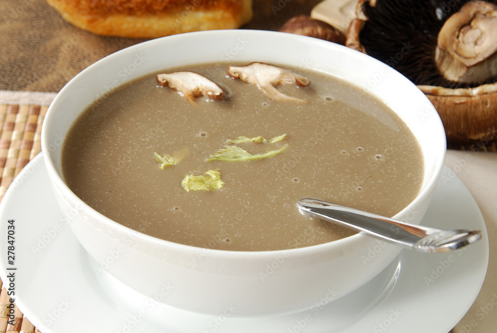 Bowl of Mushroom Soup Bowl of Mushroom Soup