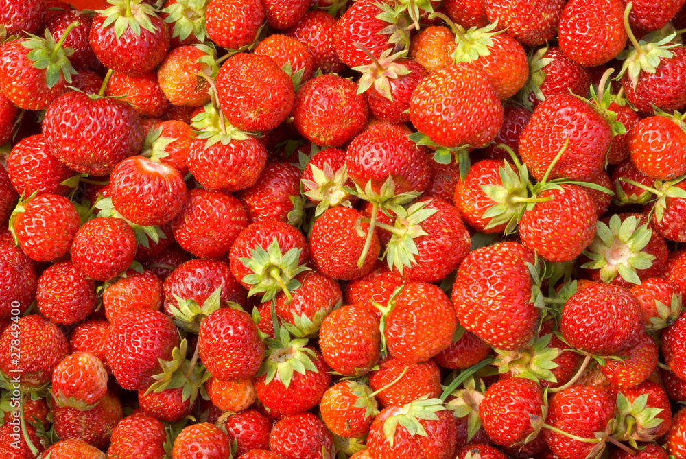 Strawberry 8 Strawberry 8