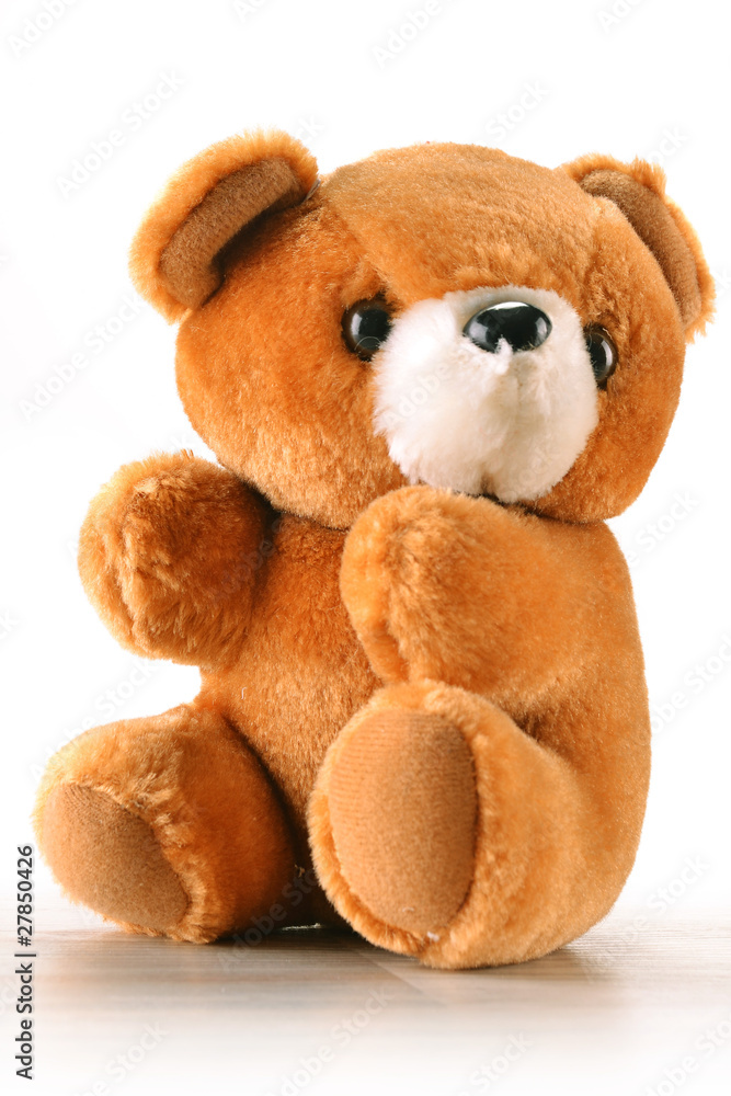 Fototapeta premium Stuffed animal toy - bear