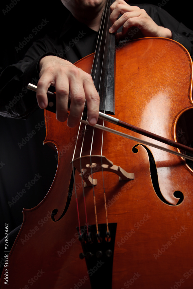 Cello y arco en acción Cello y arco en acción