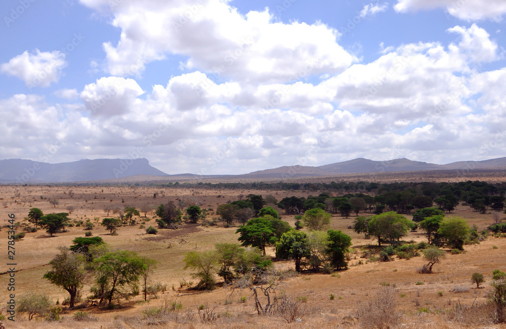 Afrikanische Landschaft