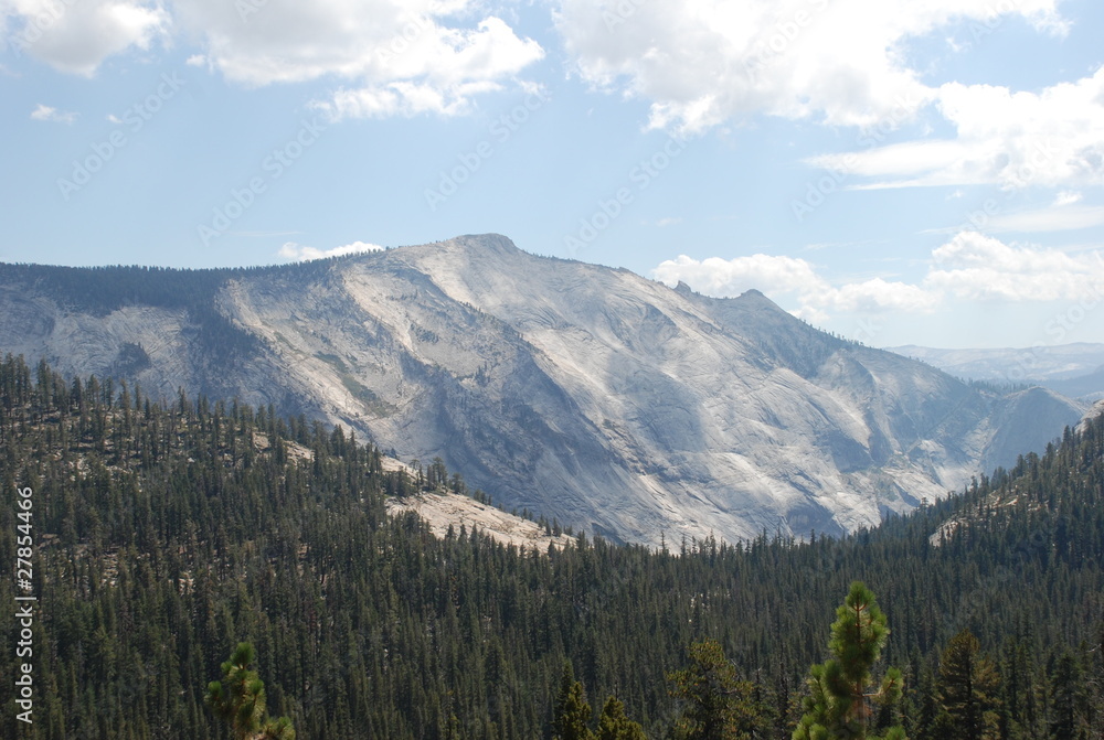 forêt, montagne, Park national Yosemite, Californie, USA