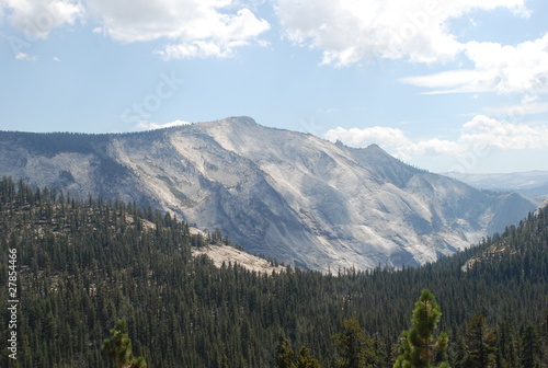 forêt, montagne, Park national Yosemite, Californie, USA