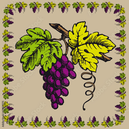 GRAPPE RAISIN