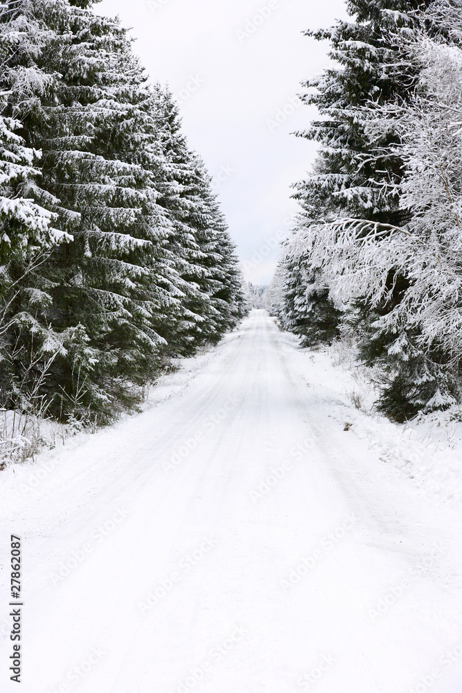 Obraz premium Winter road