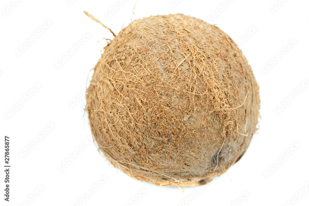 Coconut isolated on white Coconut isolated on white