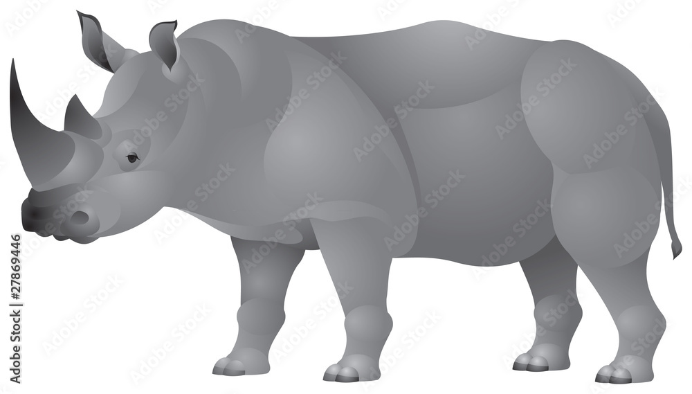 African Rhinoceros in vector