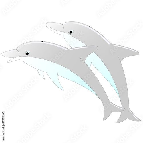Two dolphins