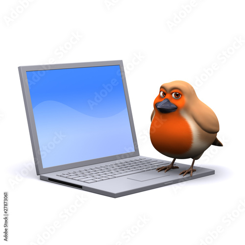 3d Robin checks the Christmas sites on his laptop