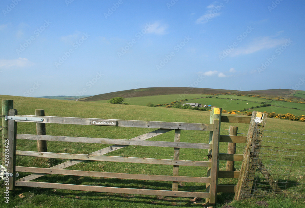 Gate on Exmoor, Devon