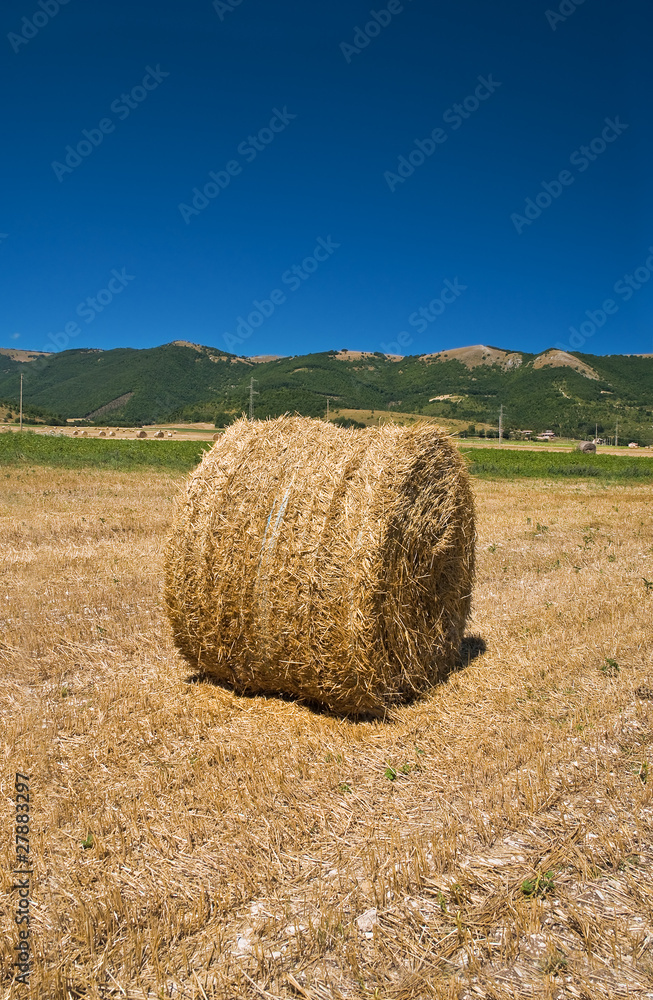 Rolling haystack in countryside.