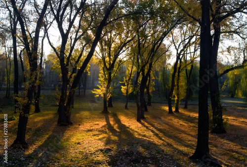 Sunny autumn morning