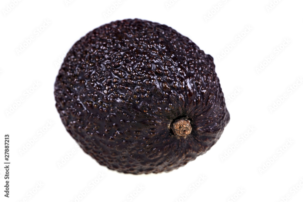 Avocado isolated on a white background Avocado isolated on a white background