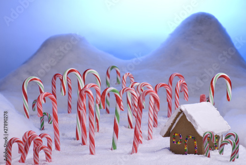 Obraz na plátne Christmas Candy Cane Forest Blue Sunset