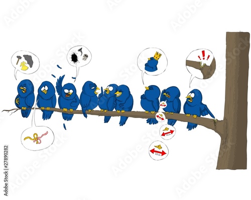 bird, birds, tweet, blue