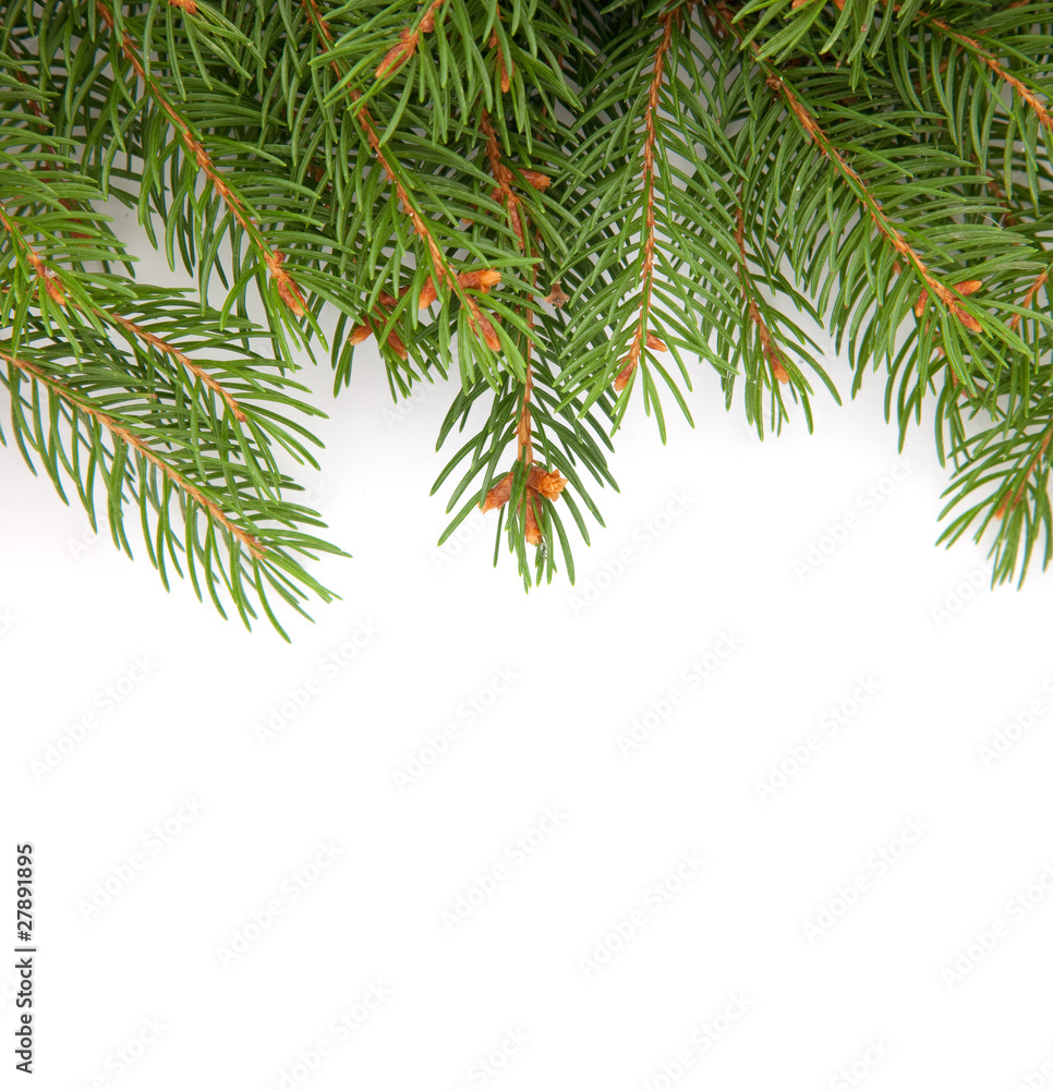 Christmas framework Christmas framework