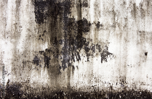 old wall texture