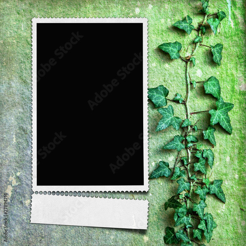 Framework for invitation or congratulation.