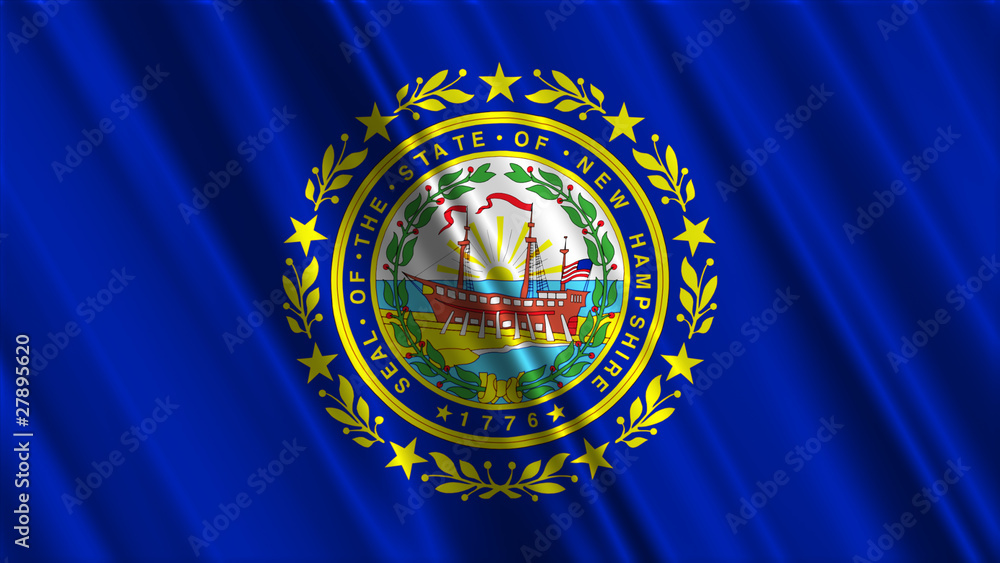 Obraz premium New Hampshire Flag