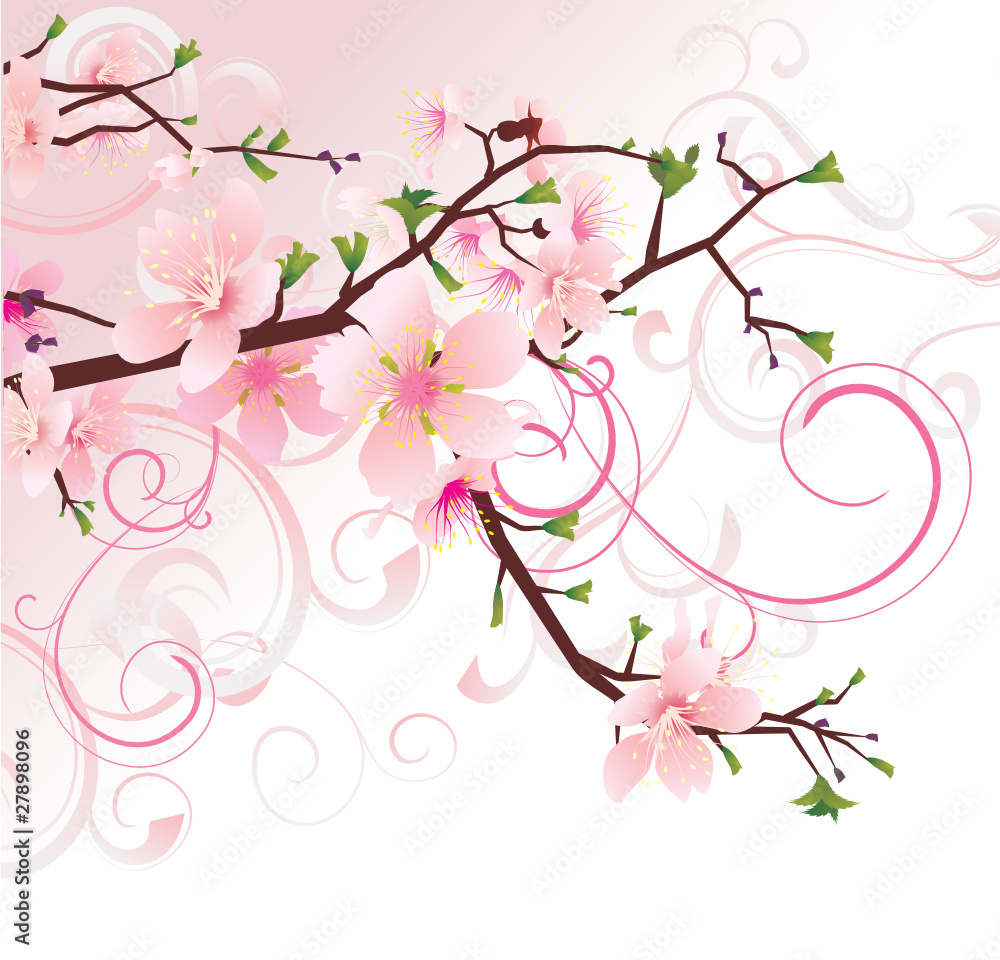 Fototapeta premium vector cherry blossom