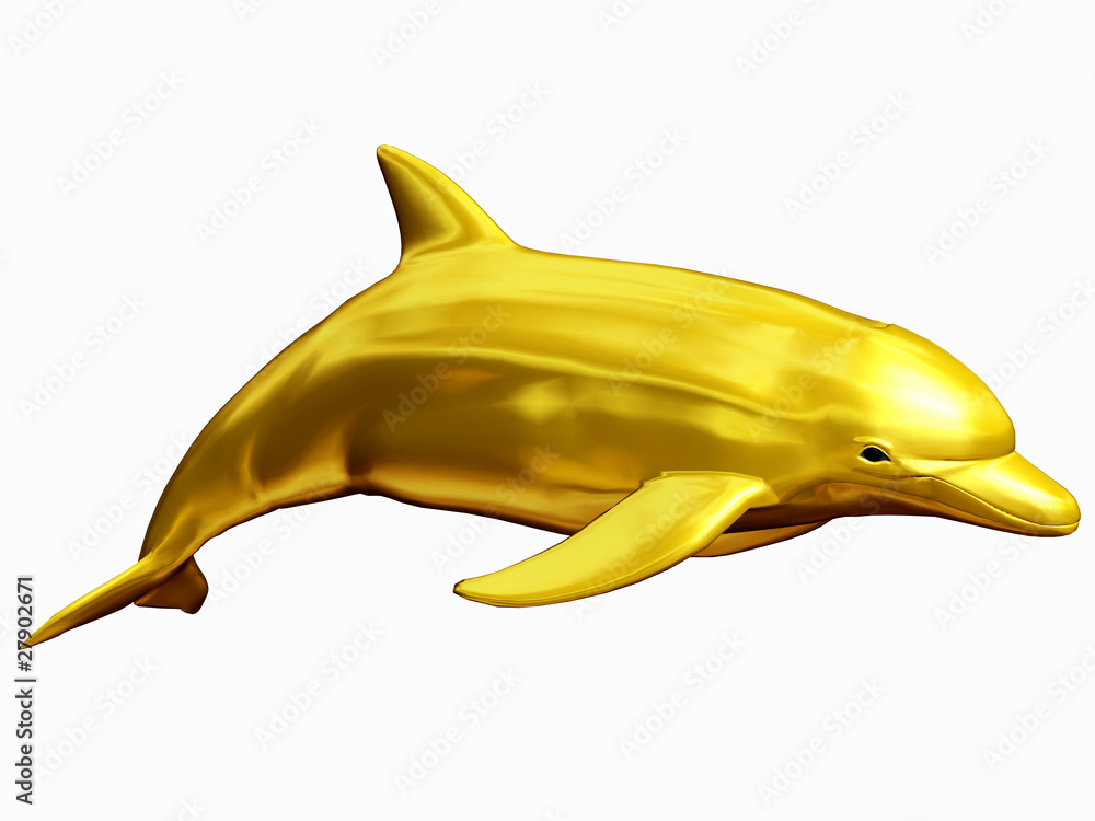 Obraz premium dolphin