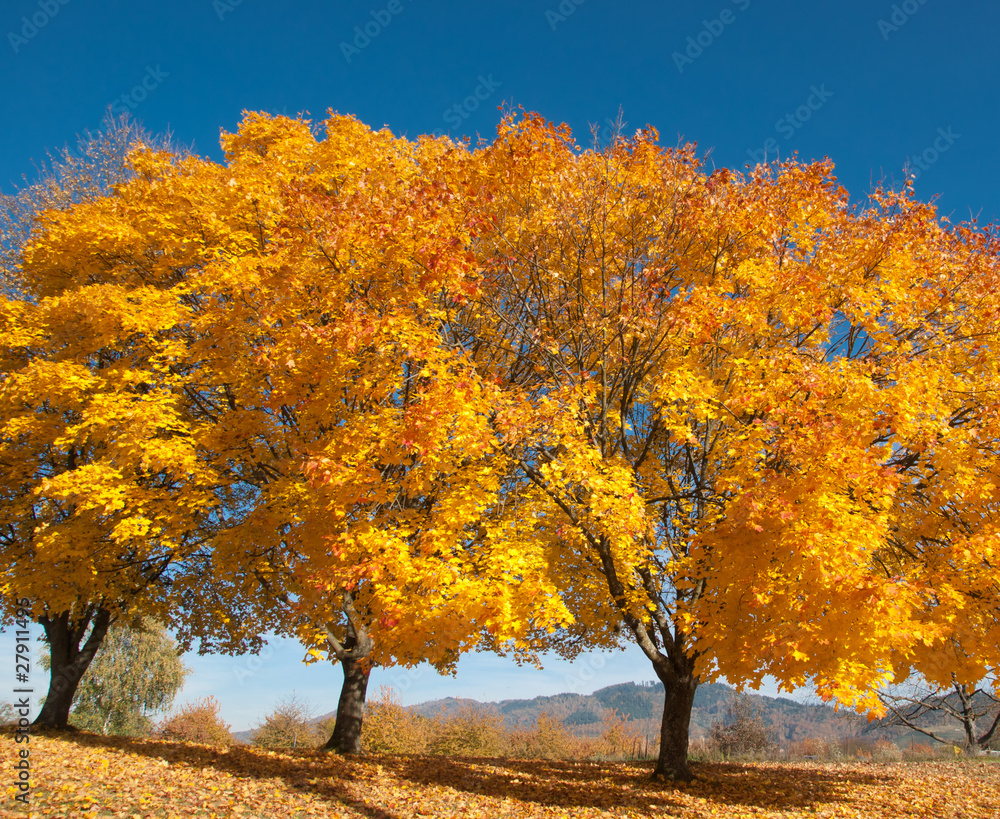 Herbst Herbst