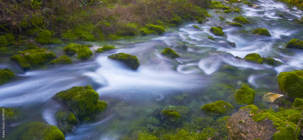 Obraz premium Liz River Spring in Leiria - Portugal