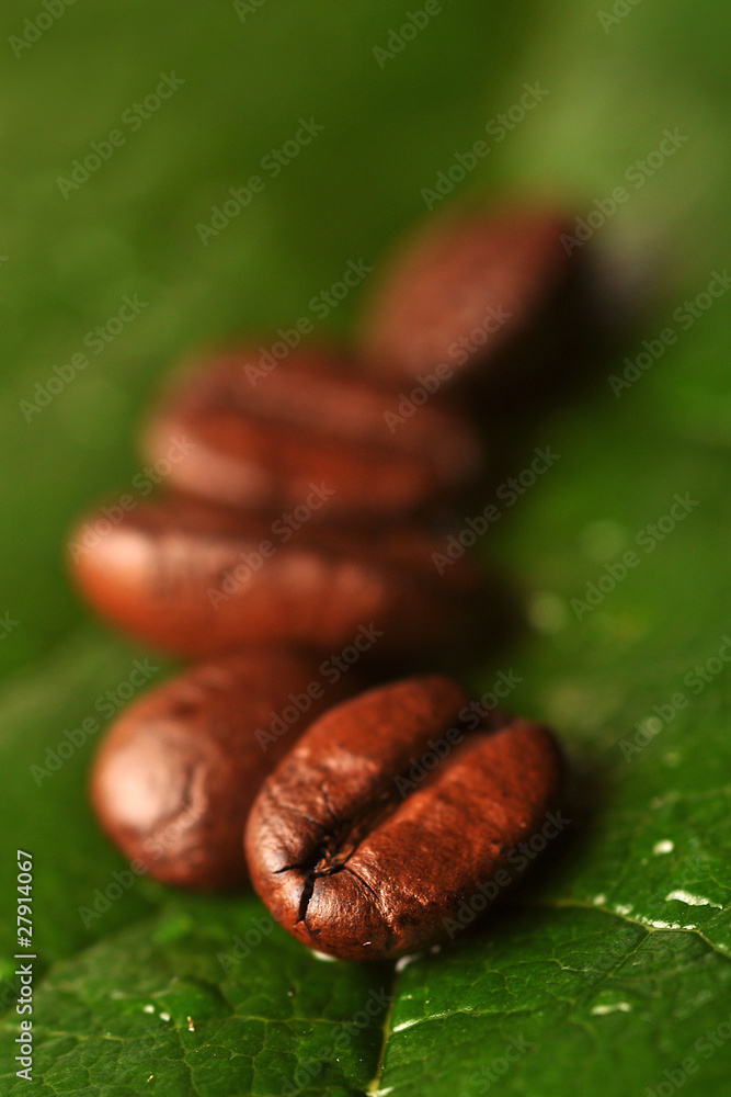 Fototapeta premium Ziarna kawy