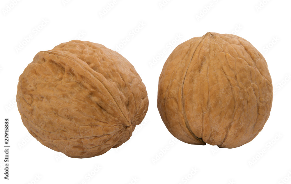 two whole walnuts two whole walnuts