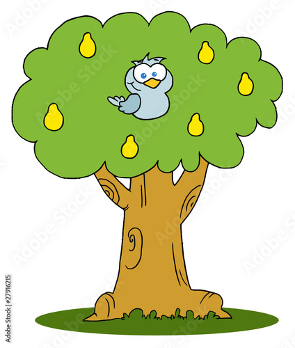 Yellow Partridge In A Pear Tree