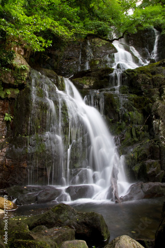 Fototapeta Naklejka Na Ścianę i Meble -  Torc waterfall in Ireland