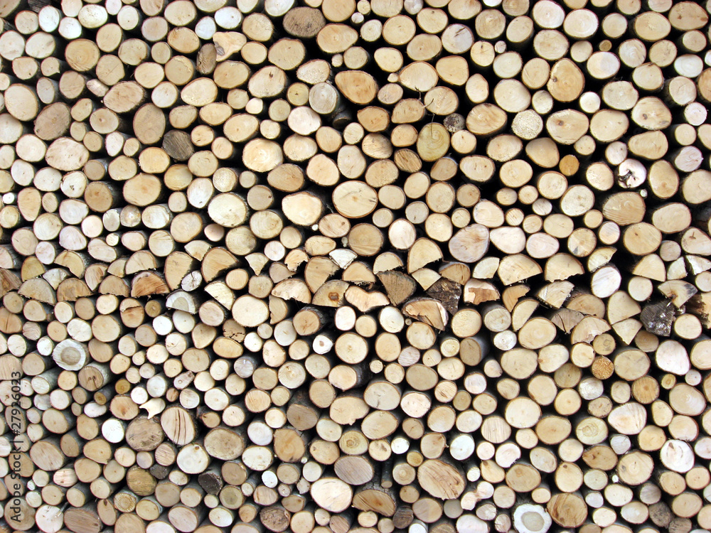 shed of logs shed of logs