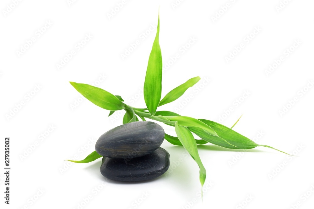 Stones with bamboo
