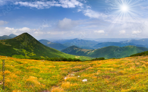 Beautiful summer landscape in the Carpathian mountains