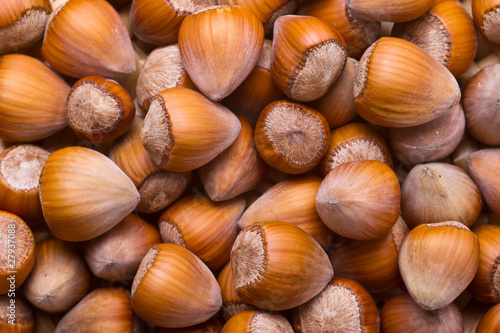 Hazelnuts