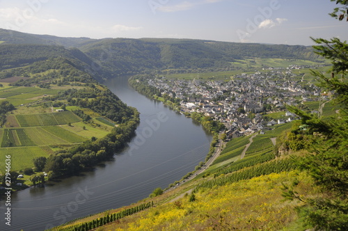 Mosel bei Kröv