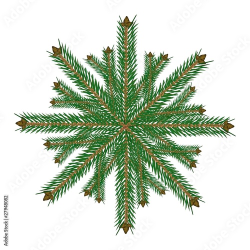 Weihnachtsstern