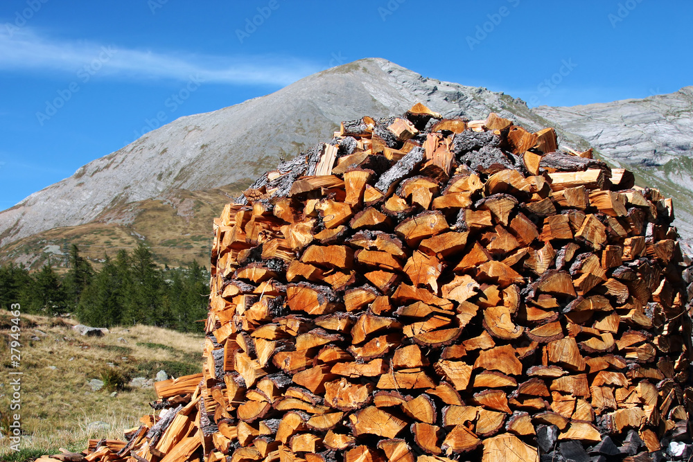 catasta di legno in montagna