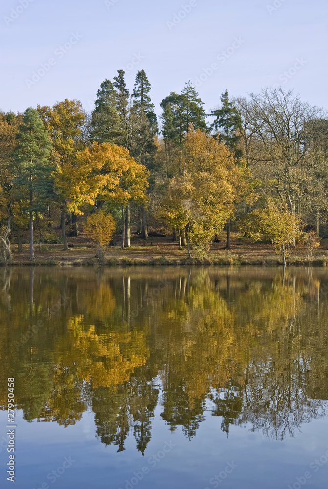 Beautiful Autumn Fall forest reflected in perfect lake Beautiful Autumn Fall forest reflected in perfect lake