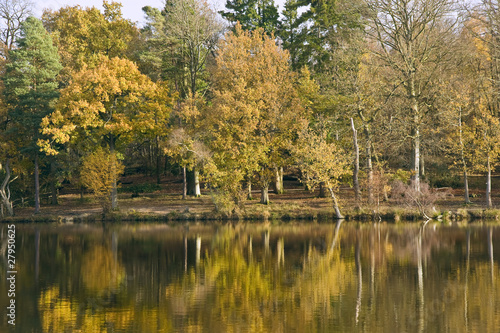 Beautiful Autumn Fall forest reflected in perfect lake